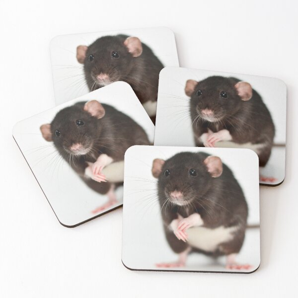 Item preview, Cute Black Rat  designed and sold by Bogglesandboops.