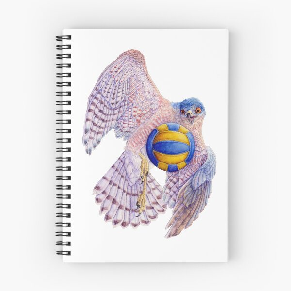 Artikelvorschau, Volleyball Hawk # 5 - Scharfhäutiger Hawk entworfen und verkauft von R.A.  Faller.