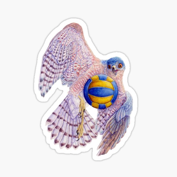 Item preview, Volleyball Hawk #5 - Sharp-Shinned Hawk designed and sold by R.A.  Faller.