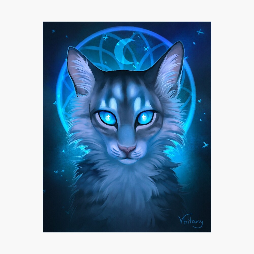 Jayfeather(Warrior Cats) Bluejay_Symphony - Illustrations ART street
