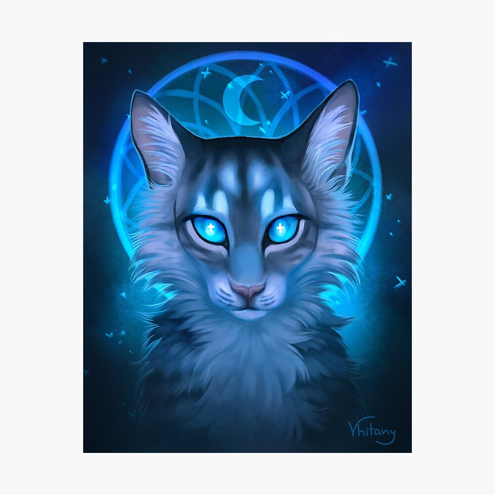 Warrior Cats - Jayfeather 2 Poster for Sale by HGBCO