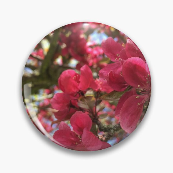 Artikelvorschau, Rosa Blüten entworfen und verkauft von Sunshine Stewart.