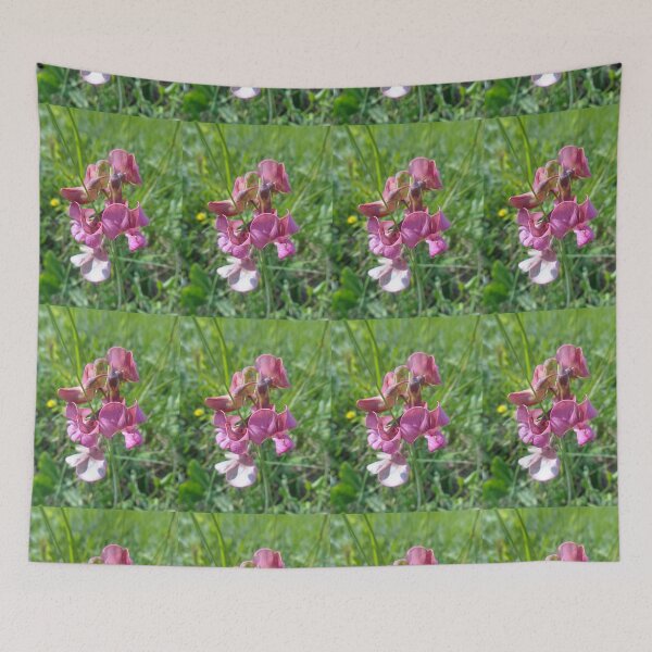 Item preview, Sweet pea designed and sold by Ana Belaj.