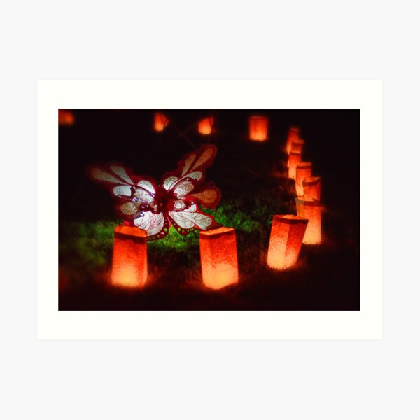 Butterfly Illuminare Art Print