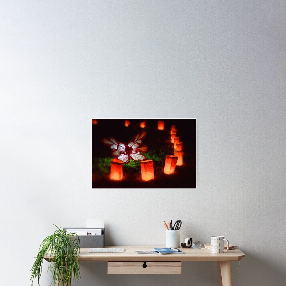 Butterfly Illuminare Poster