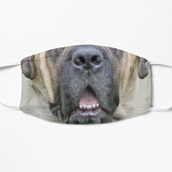 Smile Brim Flat Mask