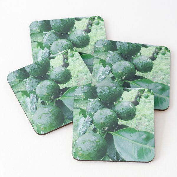 Item preview, Young citrus fruit in the rain. designed and sold by human8891.