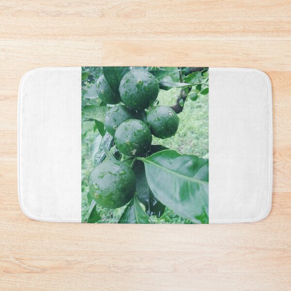 Item preview, Young citrus fruit in the rain. designed and sold by human8891.