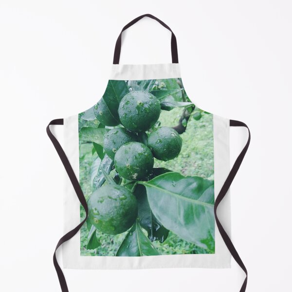 Item preview, Young citrus fruit in the rain. designed and sold by human8891.