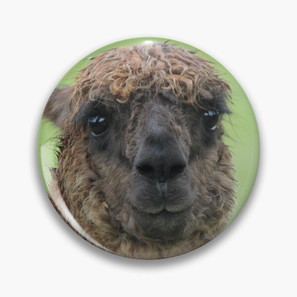 Item preview, I am Llama #1 designed and sold by NahalaNight.