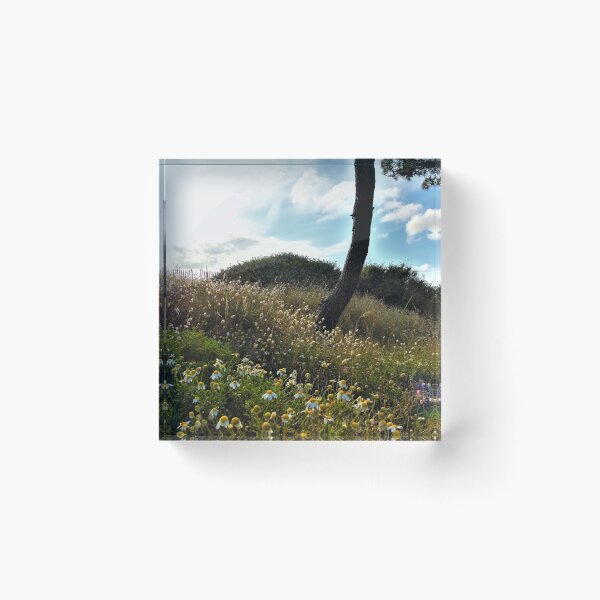 Item preview, A corner of nature ... designed and sold by ART22.
