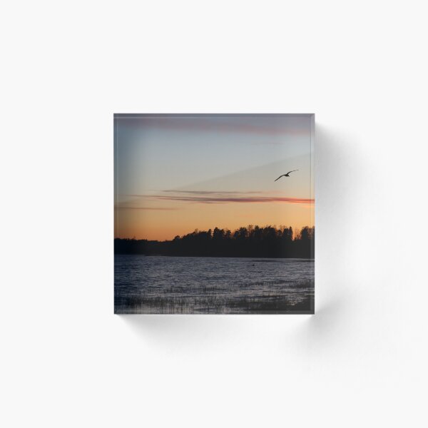 Sunset and bird Acrylic Block