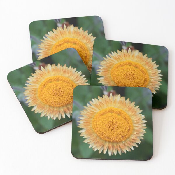 Item preview, Soleil designed and sold by AGODIPhoto.