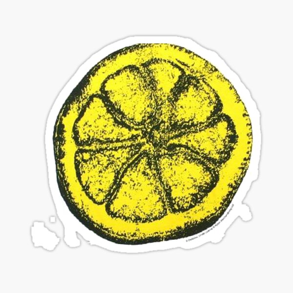 The Stone Roses Pattern Sticker