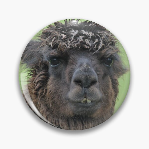 Item preview, I am Llama #2 designed and sold by NahalaNight.
