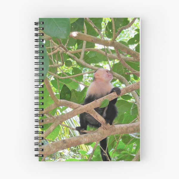 Artikelvorschau, Affe Siehe Affe tun entworfen und verkauft von fourleafphotos.