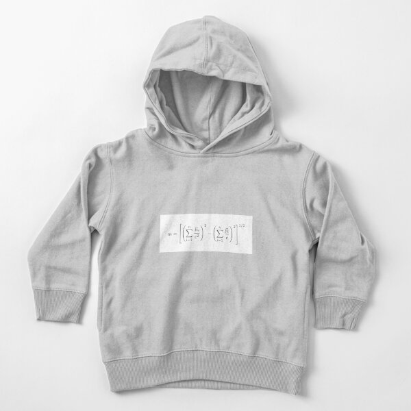MASS OF THE PARTICLE SYSTEM Toddler Pullover Hoodie