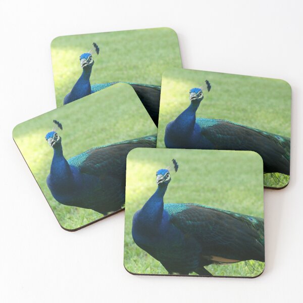 Item preview, Vain designed and sold by AGODIPhoto.