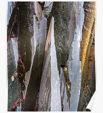 Jagged Poster