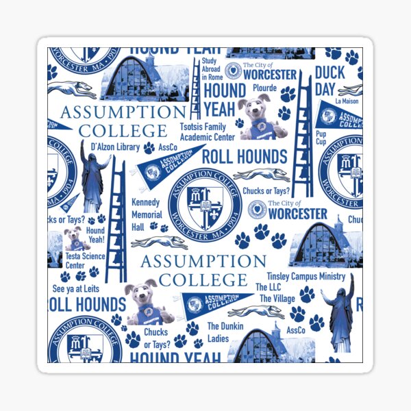 Item preview, Assumption College Pattern designed and sold by TwoBusyBabes.