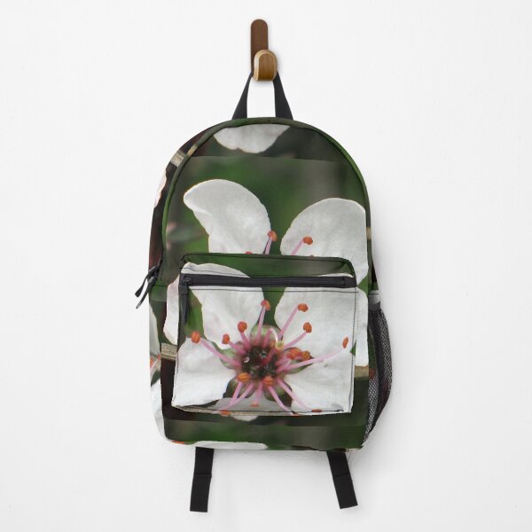 Item preview, "Morning Stretch" Photography Flower Opening in the Mortning designed and sold by taylourmade.