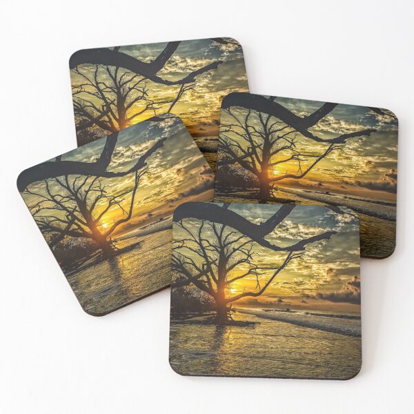 Item preview, Busy daybreak at Botany designed and sold by GestaltImagery.