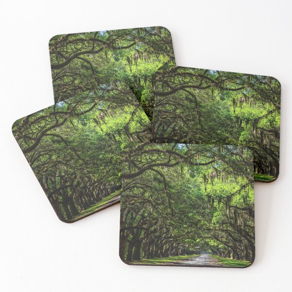 Item preview, Wormsloe Avenue of Oaks designed and sold by GestaltImagery.