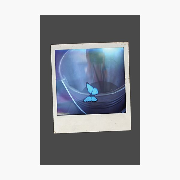Life is Strange Butterfly Effect Photographic Print