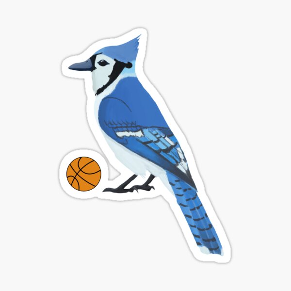 blue jay Sticker for Sale by aaumen