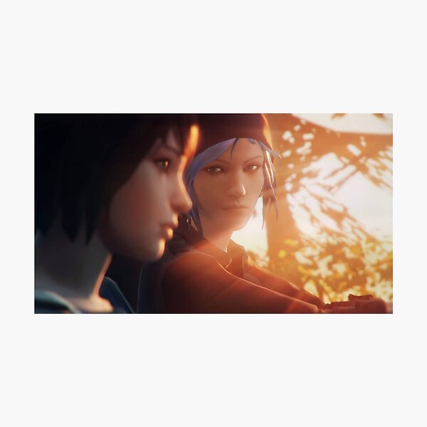 Pricefield Photographic Print