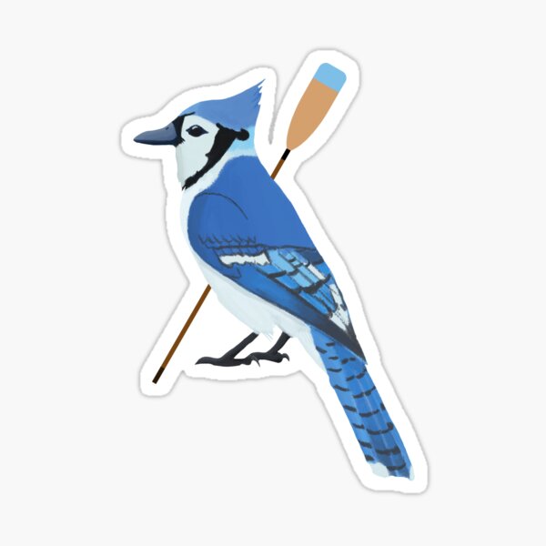 Basketball Blue Jay Sticker By Cmd Art Redbubble