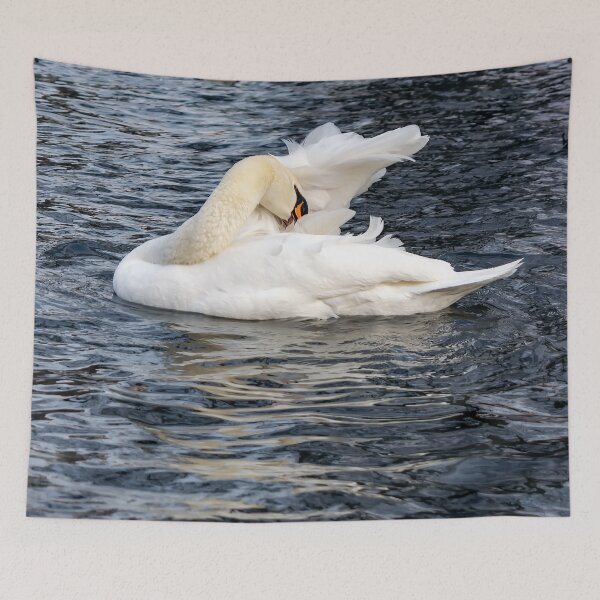 Item preview, Swan cleans its feathers designed and sold by lena-maximova.