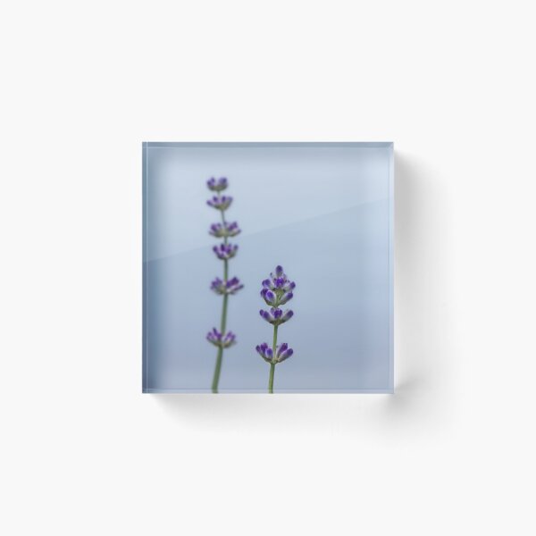 Item preview, Lavender Blossoms designed and sold by PeppaThePenguin.