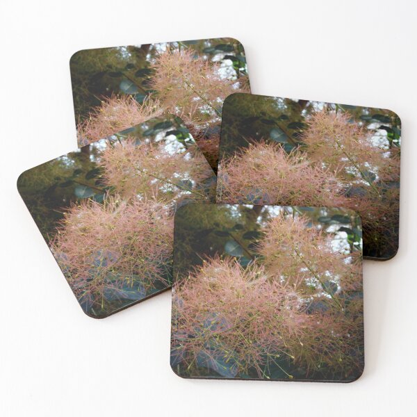 Item preview, Little Fuzzies! designed and sold by AGODIPhoto.
