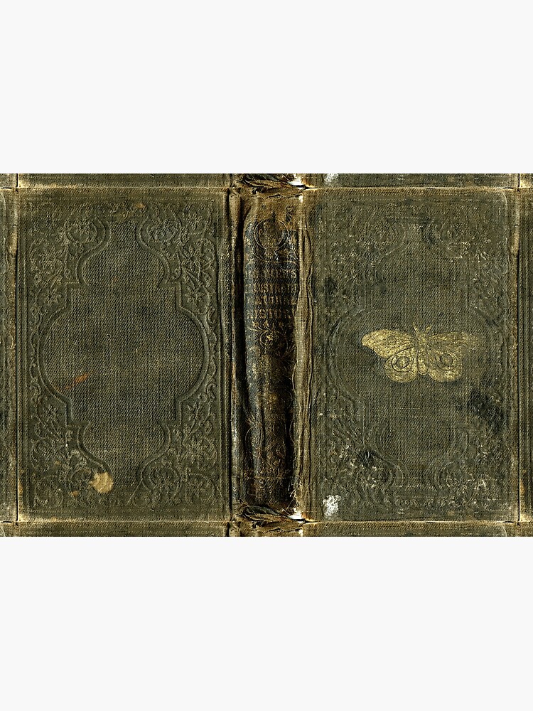 Antique Journal / Spellbook, Golden moth by Rusticoteque