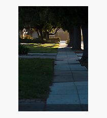 Suburbs Photographic Print