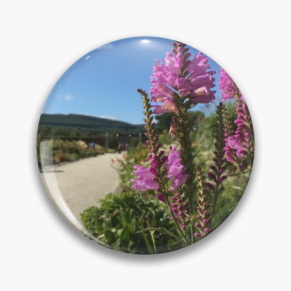Item preview, Flowers in Powerscourt gardens, Wicklow designed and sold by chiarraigrrl.