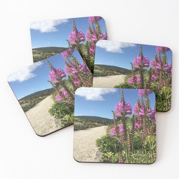 Item preview, Flowers in Powerscourt gardens, Wicklow designed and sold by chiarraigrrl.