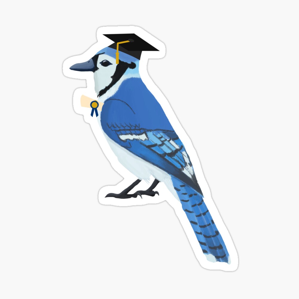 Graduation Blue Jay Kids T Shirt By Cmd Art Redbubble