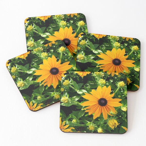 Item preview, Black-Eyed Susans designed and sold by AGODIPhoto.