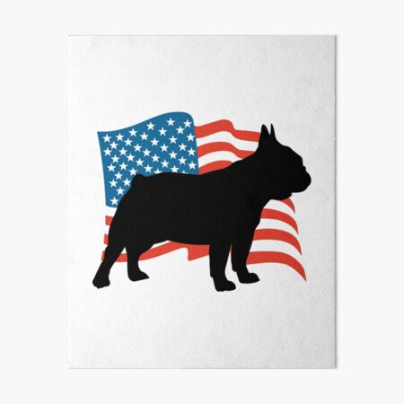 American USA Flag Frenchie Dog French Bulldog 4th of July design Art Board  Print