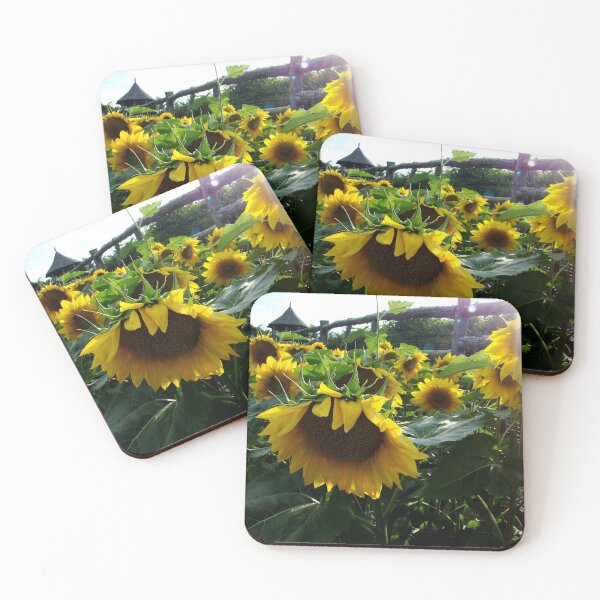 Item preview, Followers of the Sun designed and sold by AGODIPhoto.