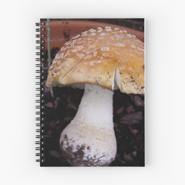 Item preview, Watch Out For the Mushrooms designed and sold by CarolLeesArt.