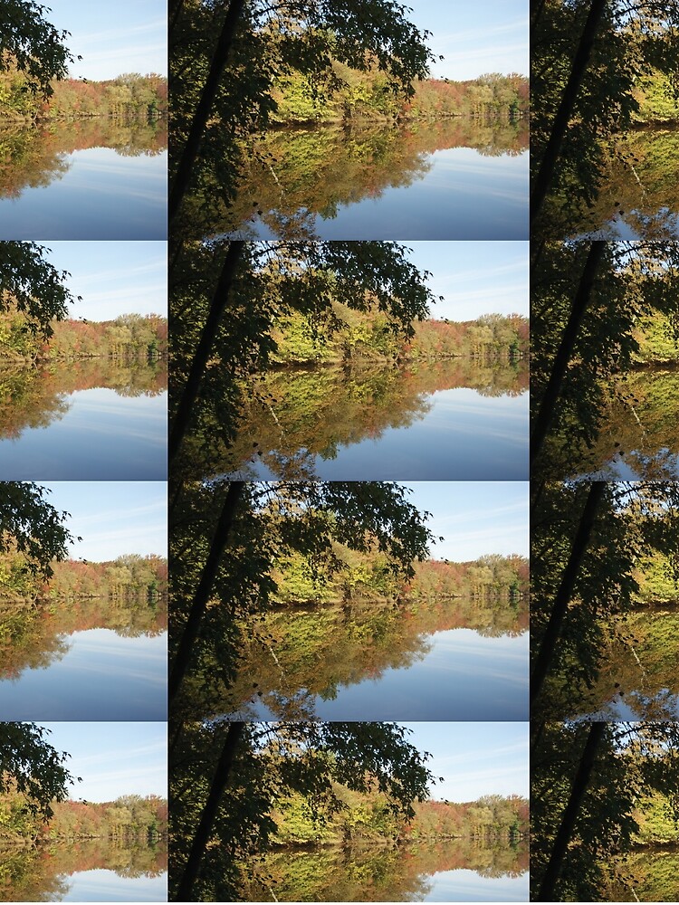 Thumbnail 3 of 3, Scarf, First Fall Reflections designed and sold by KensLensDesigns.