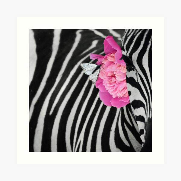 Adorned Zebra Art Print