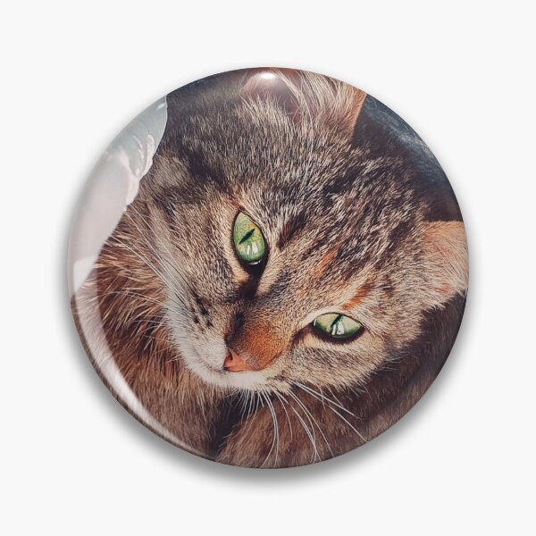 Item preview, Pregnant cat hiding designed and sold by psychoshadow.