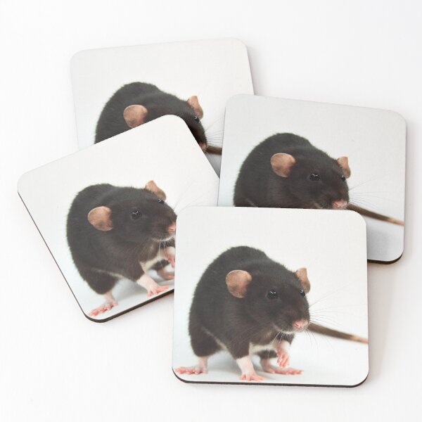 Item preview, Black  and White Rat designed and sold by Bogglesandboops.