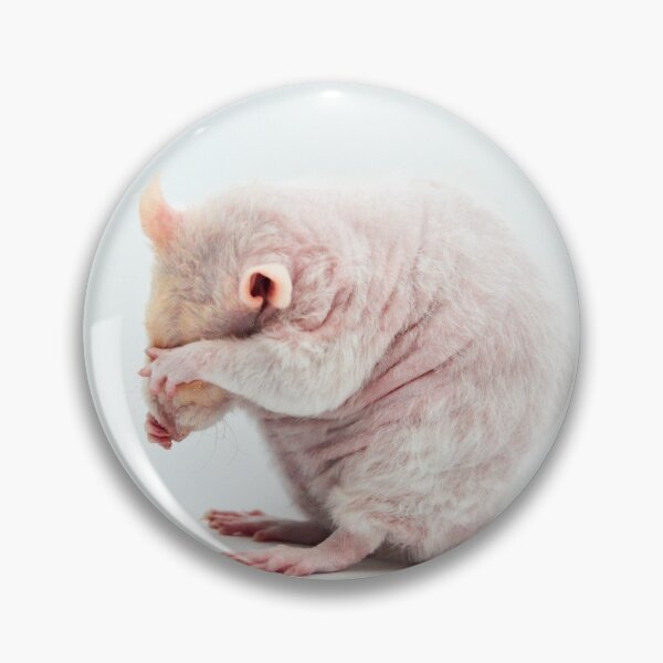 Item preview, Washing Rat designed and sold by Bogglesandboops.