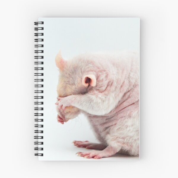 Item preview, Washing Rat designed and sold by Bogglesandboops.