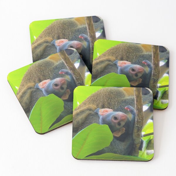 Item preview, Baby Monkey in the Rainforest designed and sold by fourleafphotos.